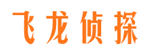 和林格尔侦探社